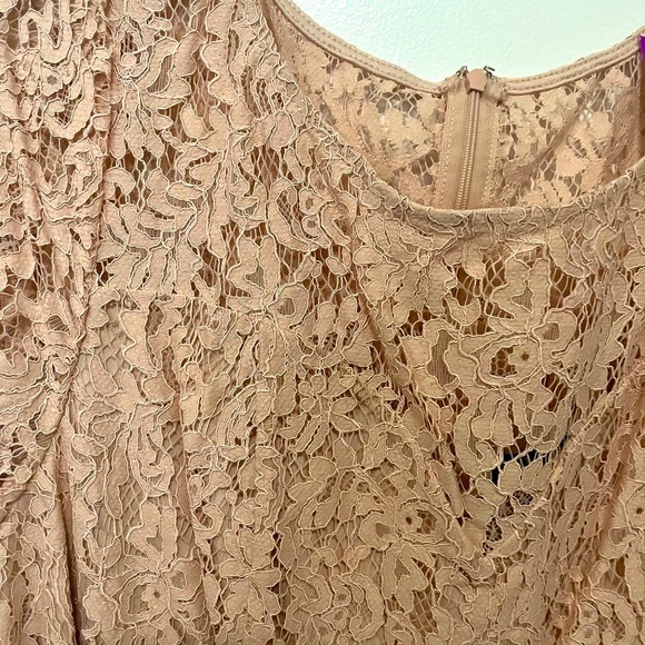 Elegant Pink Lace Top - Picture 3 of 7